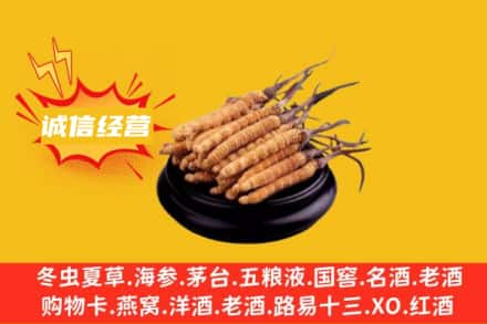 遵义回收冬虫夏草